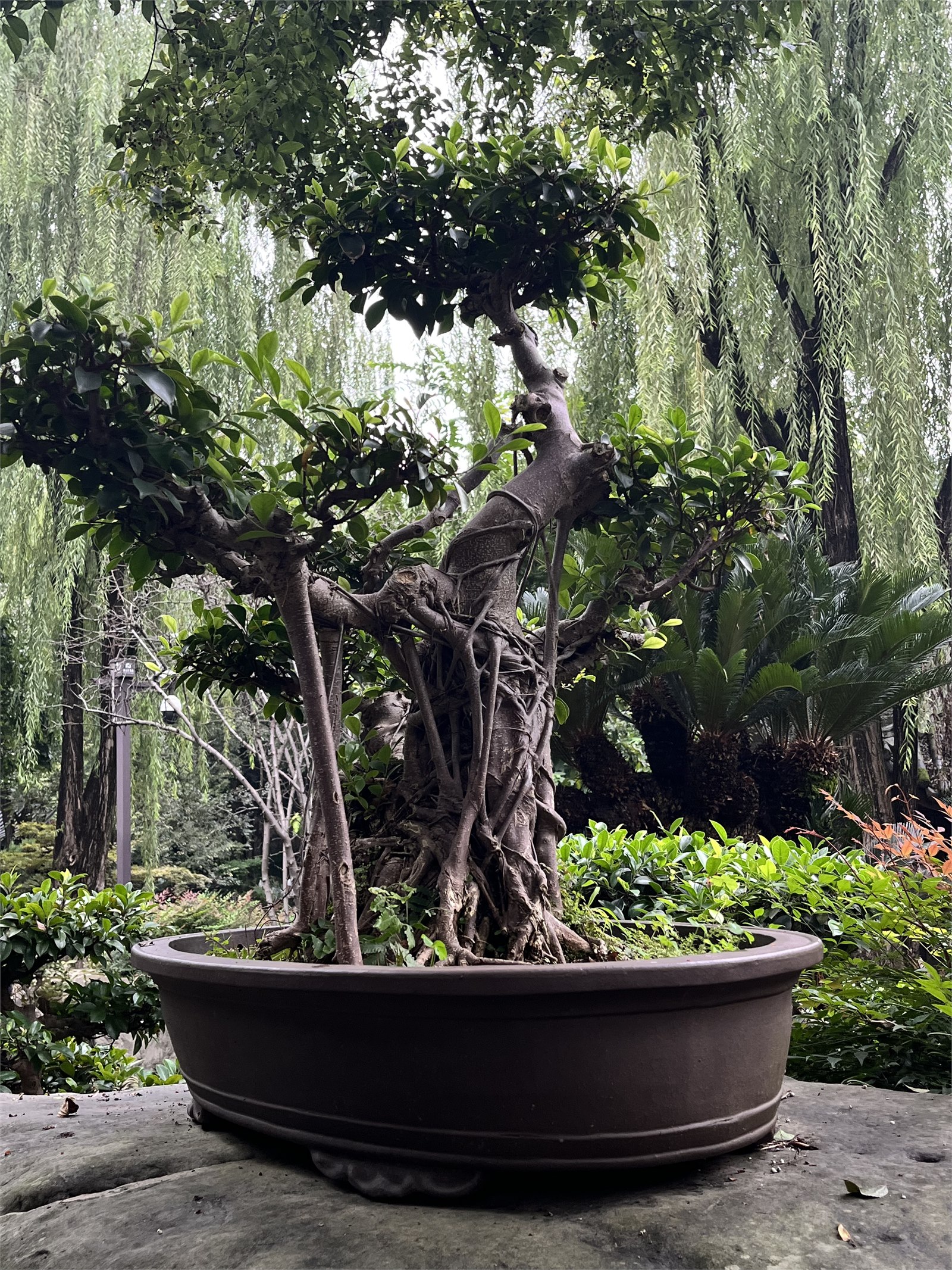 旅行胶卷照片 8