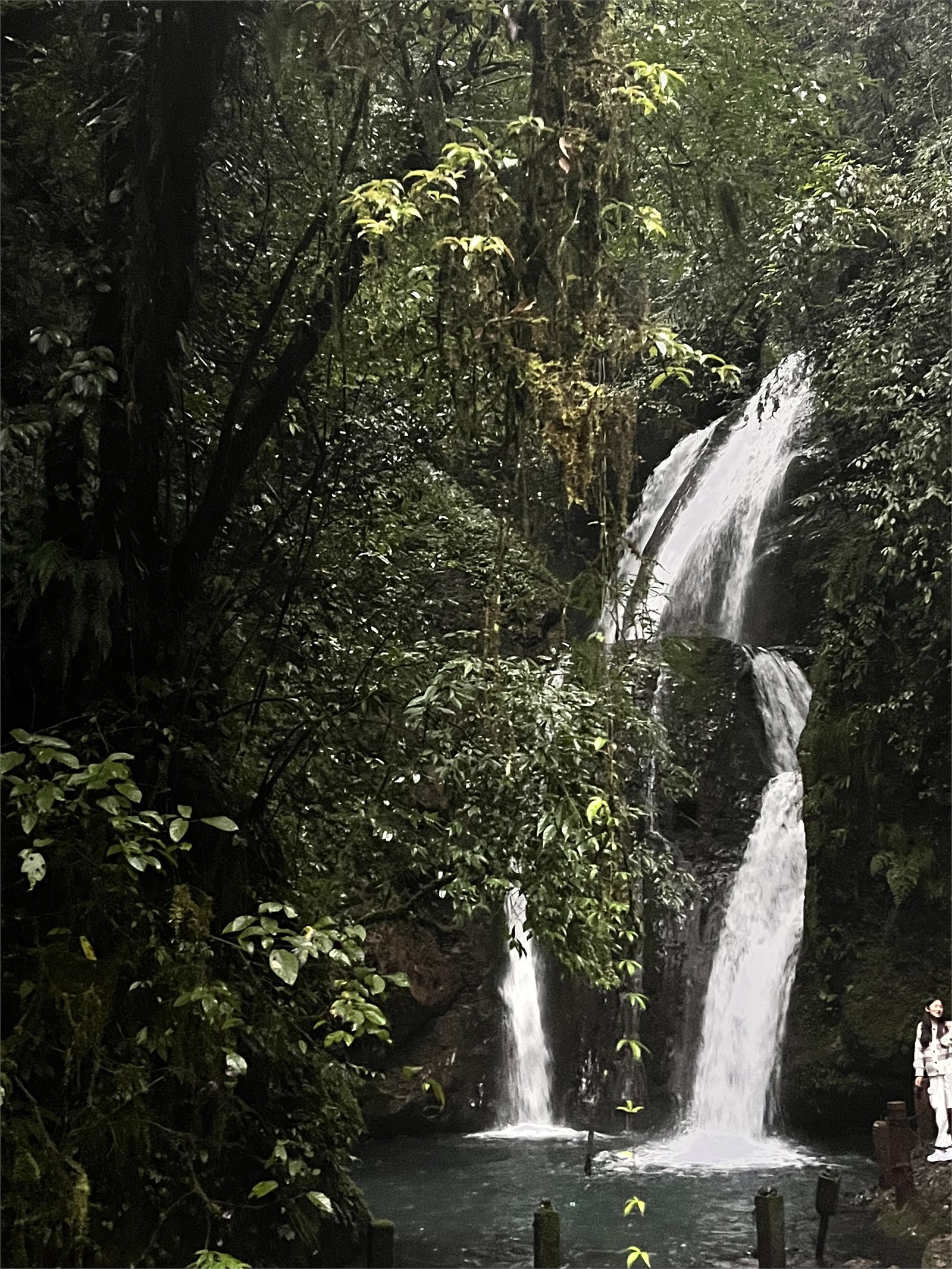 旅行胶卷照片 13