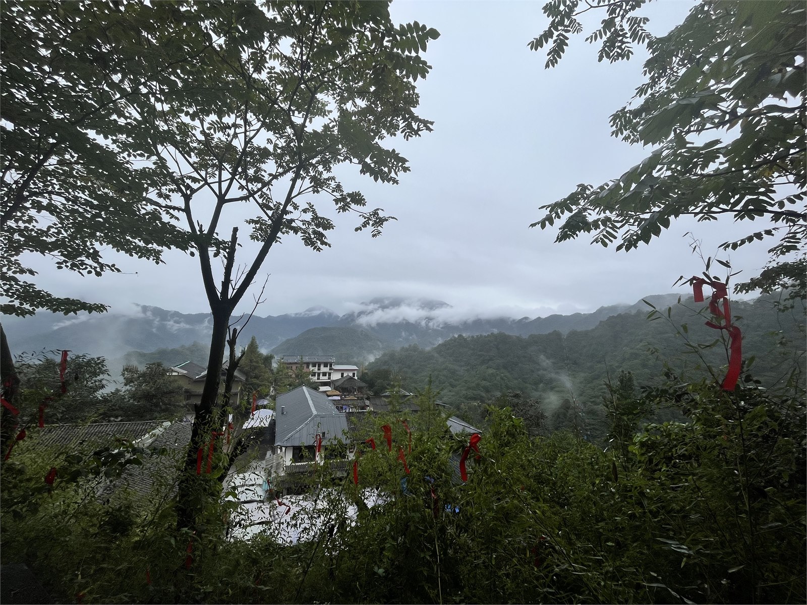 旅行胶卷照片 14